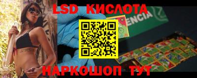 прущие грибы Будённовск