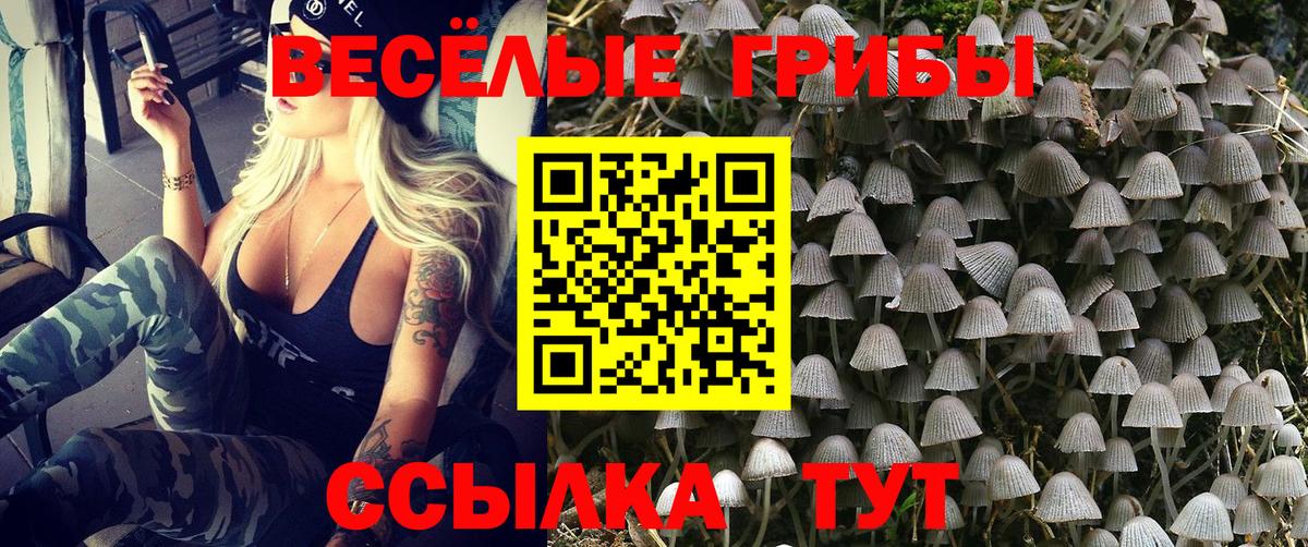 Псилоцибиновые грибы мицелий Трёхгорный